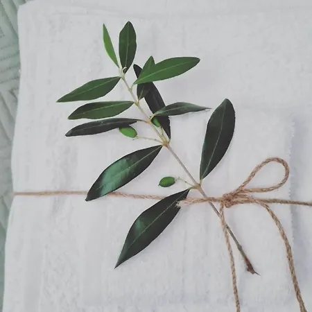 B&B 180passi 리도 마리니